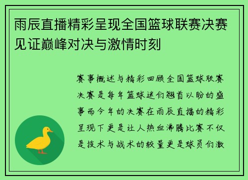 雨辰直播精彩呈现全国篮球联赛决赛见证巅峰对决与激情时刻